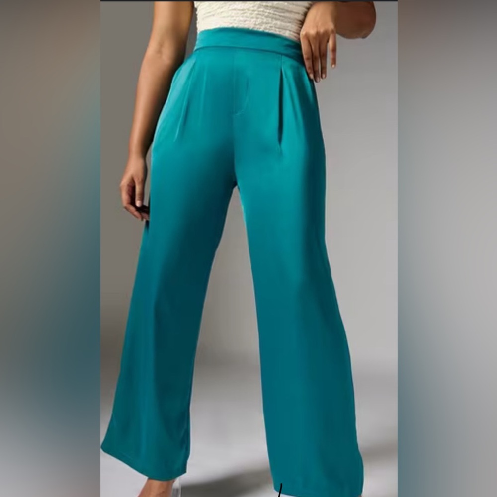 NWT Pleated Palazzo Pants by Forever 21 in Jade Sz M
